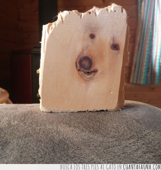 perro,madera