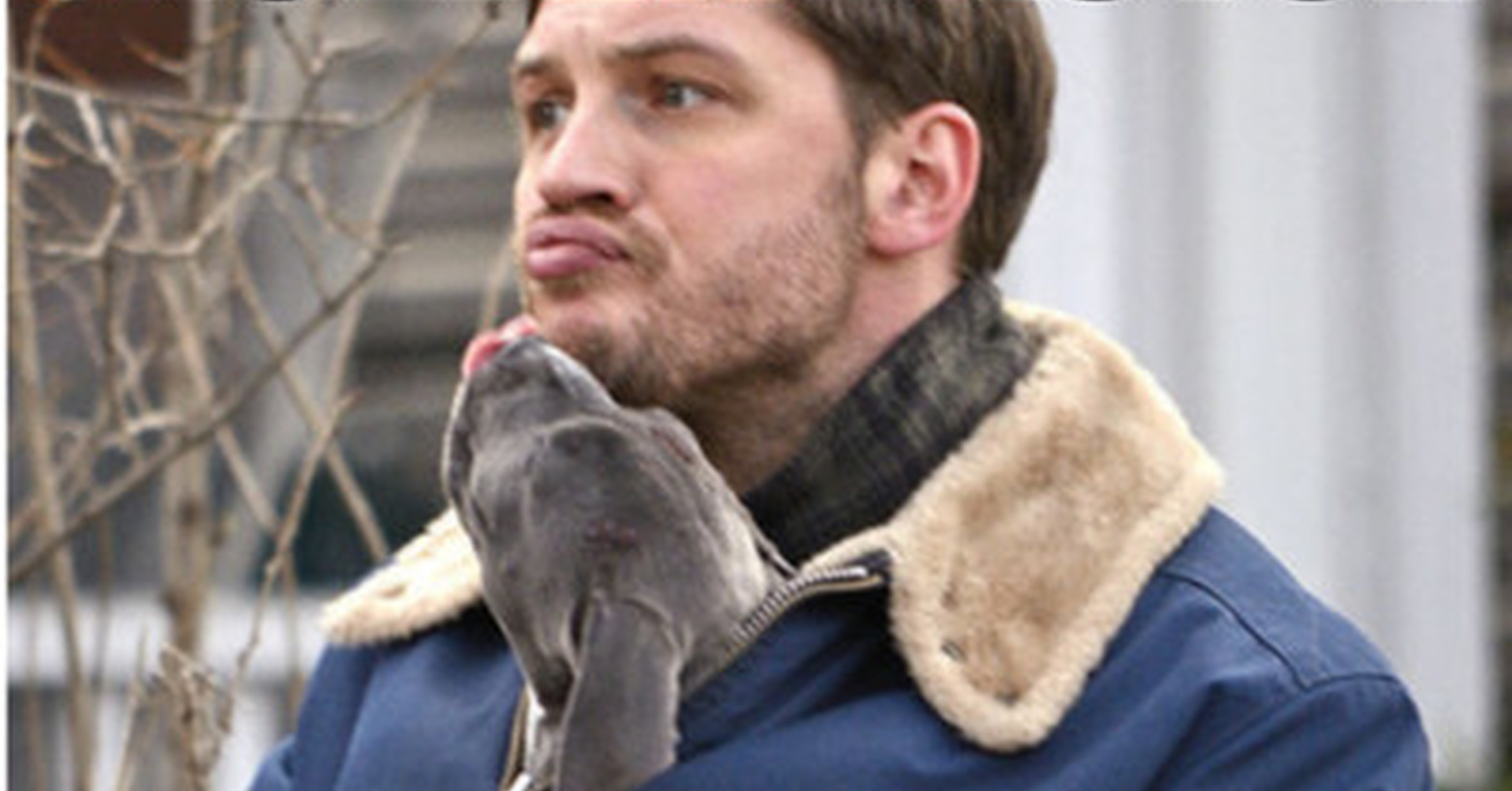 Том харди фото. Том харди список. Том харди список. Том харди список. Том харди.