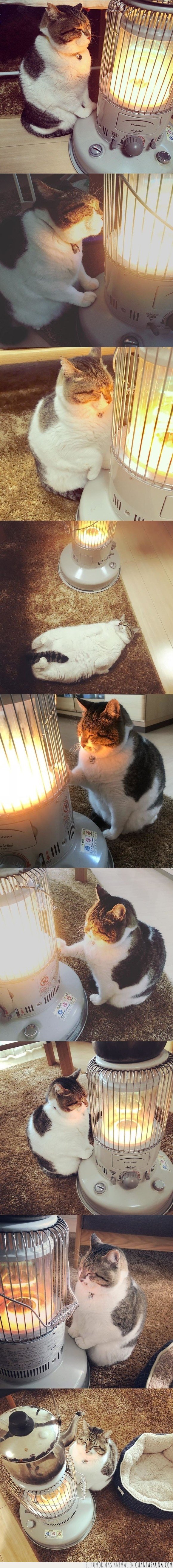 calor,estufa,frío,gato