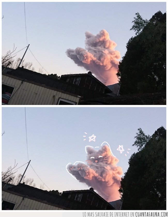 gatos,nubes