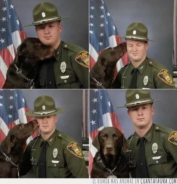 perro policia,sheriff
