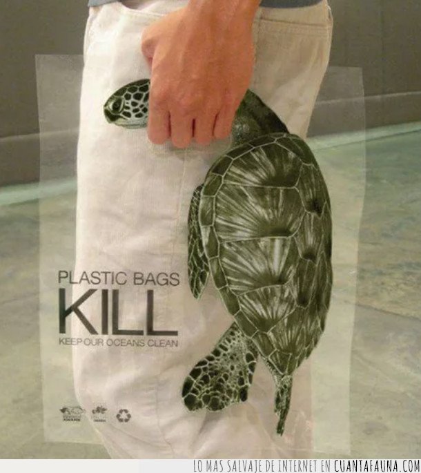 tortuga,ave,contaminación,bolsas,plásticos,eco