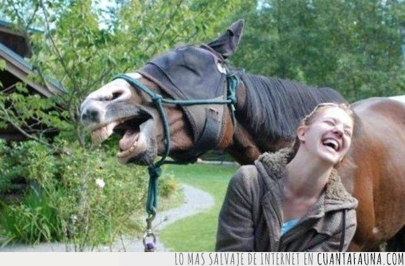 caballo,riendo