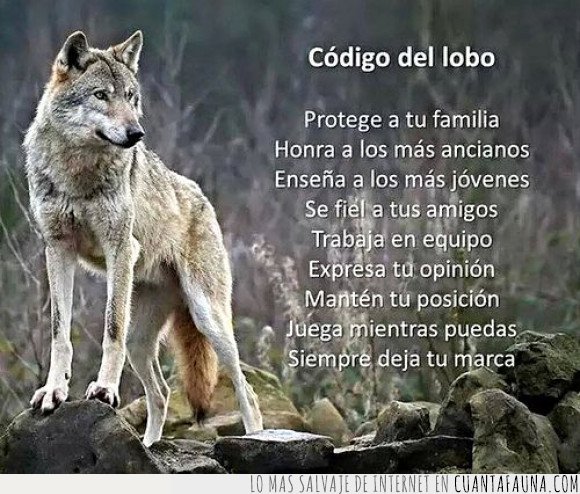 código,lobos
