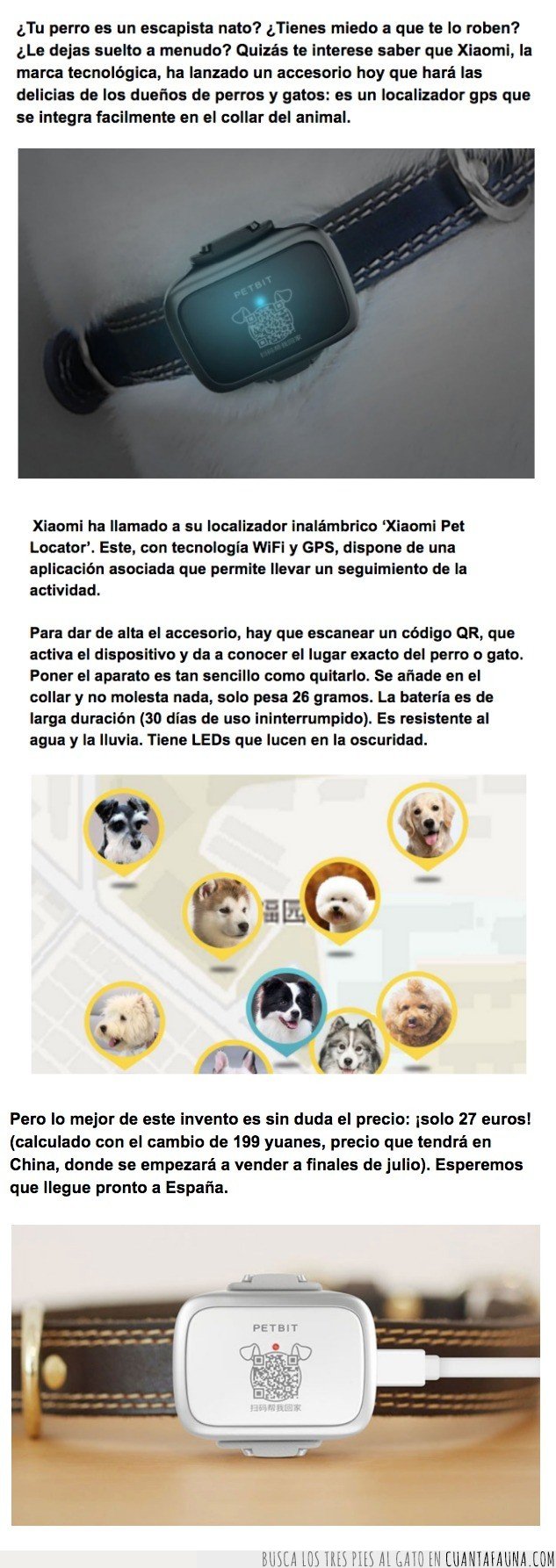 XIAOMI,PERROS,GPS