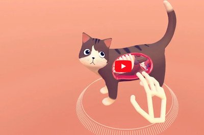 62854 - Flipa con esta APP que te permite diseccionar a un gato en realidad virtual para aprender cómo es por dentro