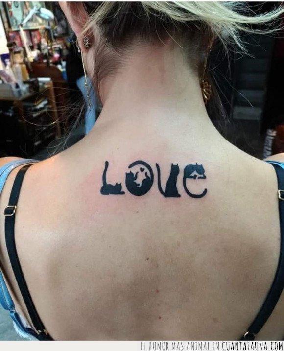 gatos,love,tatuaje