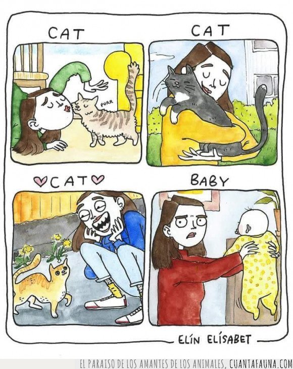 bebés,gatos,preferencias