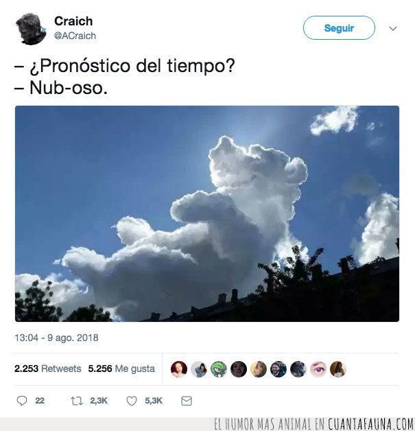 oso,chiste