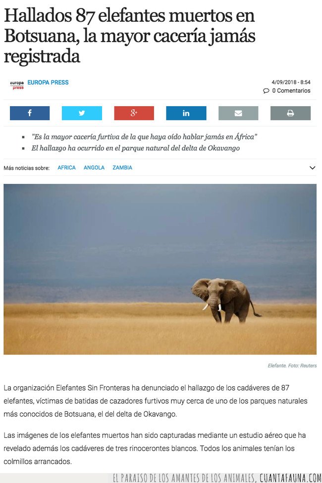 elefantes,indignante