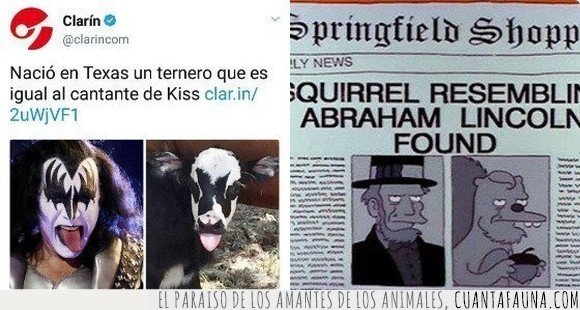 kiss,parecidos,simpsons,vaca