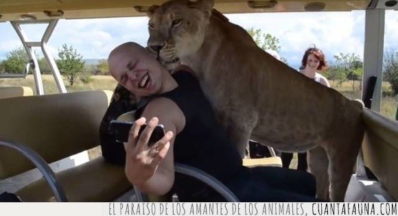 león,selfie
