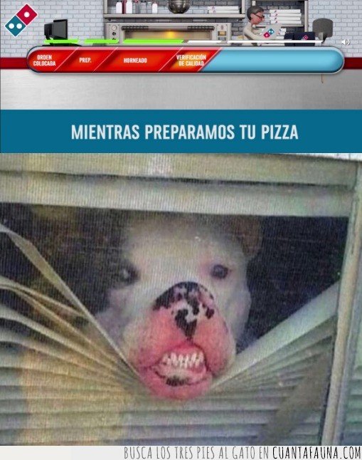 perro,pizza