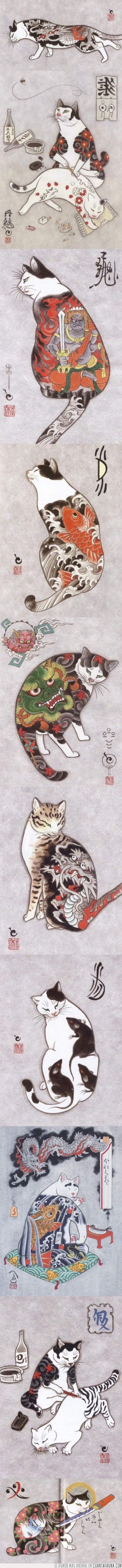 gato,japon