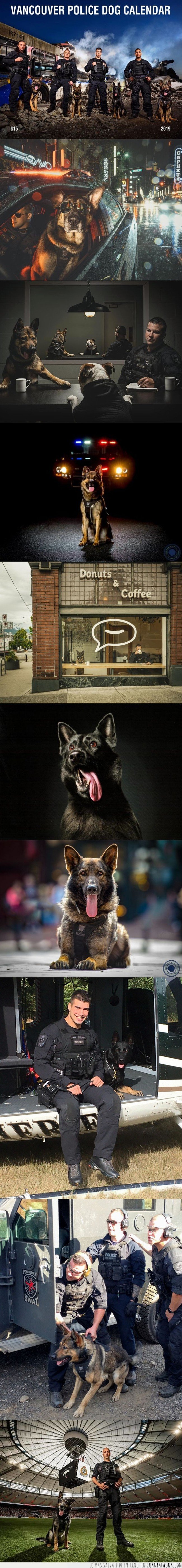 perro,policia,canada
