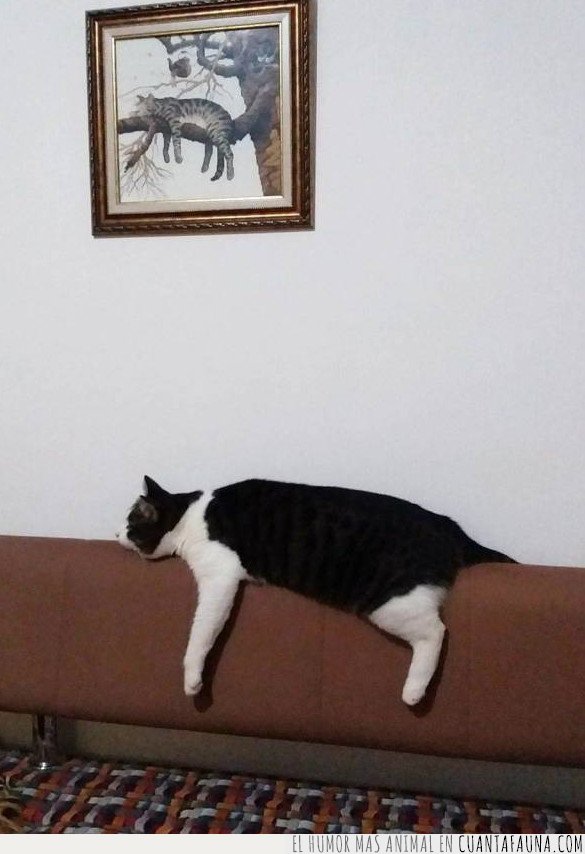 gato,cuadro,arte