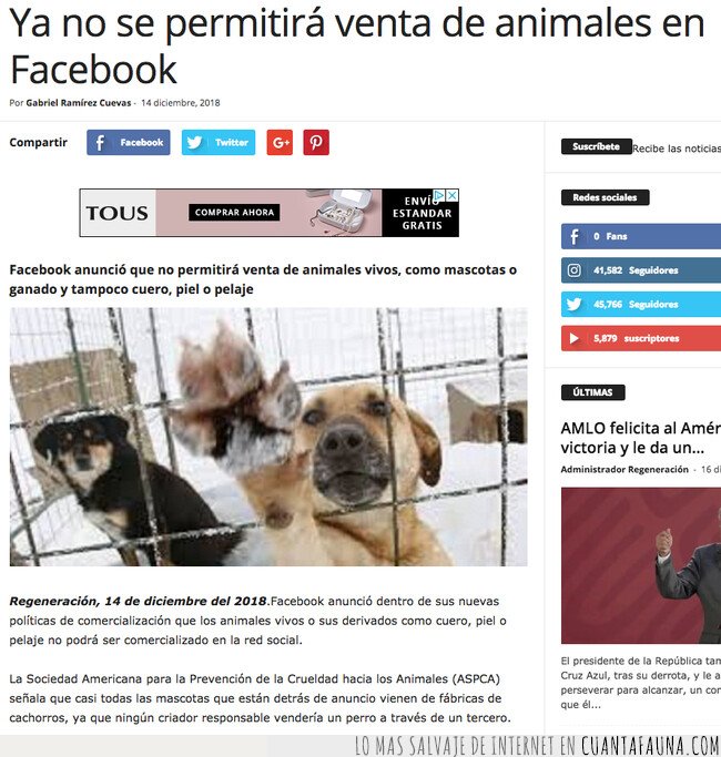 animales,facebook