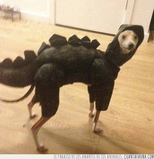 perro,dinosaurio