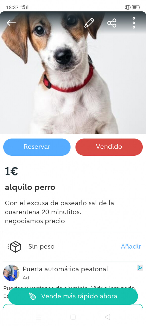 4835 - Negocios en tiempos de cuarentena
