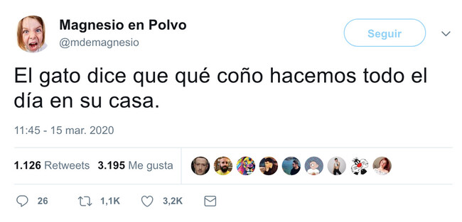 5082 - Están flipando, por @mdemagnesio