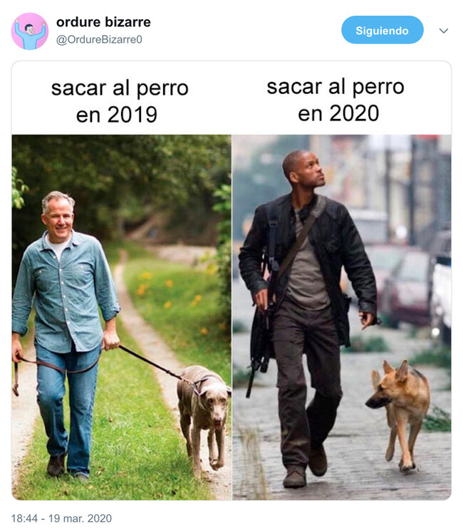 6517 - Pasear el perro cambia de concepto, por @OrdureBizarre0