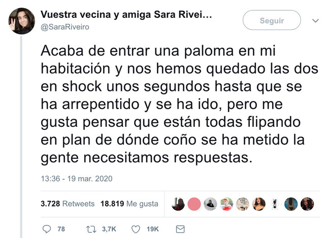 6775 - ¿Alguien se lo ha explicado a las palomas? Por @SaraRiveiro