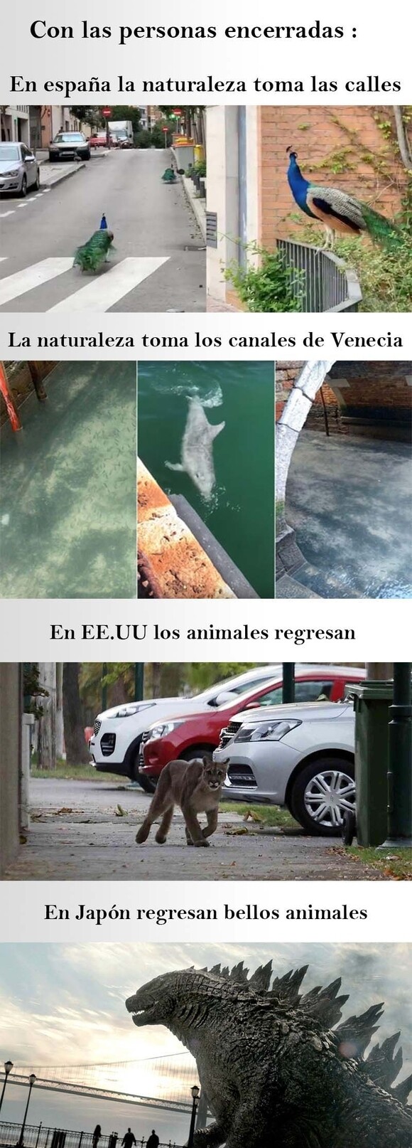 10588 - La naturaleza reclama lo que es suyo