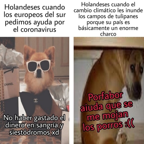 9084 - Holanda y sus pocas ganas de echar una mano