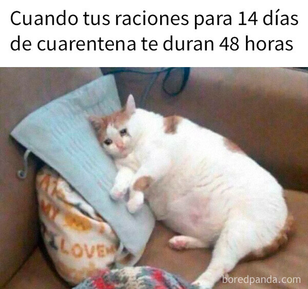 9166 - No me han salido los cálculos