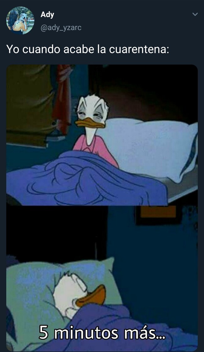 9877 - 5 minutitos más, ¡porfa!