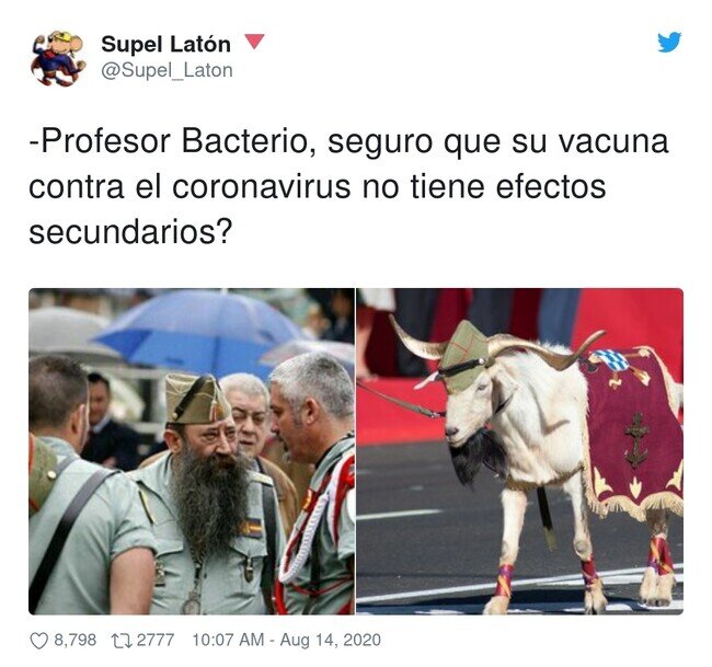 19238 - Confianza ciega en el señor Bacterio , por @Supel_Laton