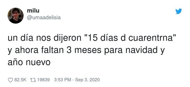 19609 - Y aquí estamos, preparando el árbol, por @umaadelisia