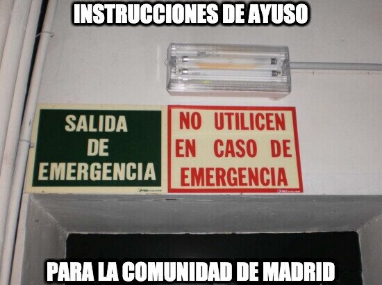 20176 - Instrucciones de Ayuso para Madrid