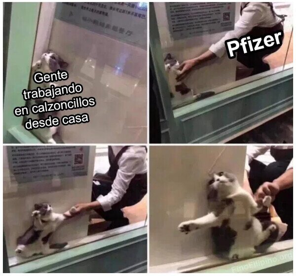 20682 - Se acabó el tele chollo