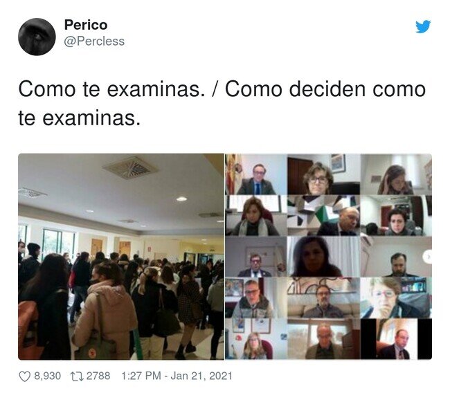 21825 - Triste pero cierto, por @Percless