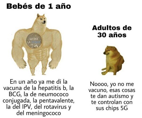 23749 - De pequeños nos vacunamos de mil cosas