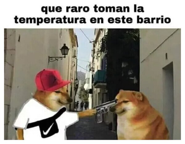 23755 - Todo sea por el protocolo