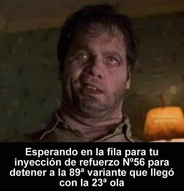 23798 - La historia de nunca acabar