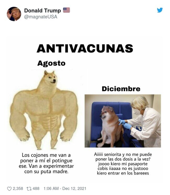 24235 - Que salgan los vacunofendiditos, por @magnateUSA