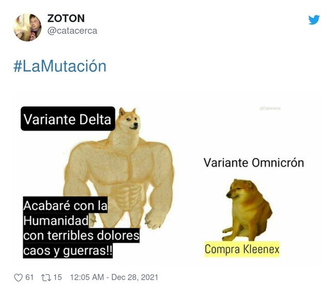 24546 - Algo es algo, por @catacerca