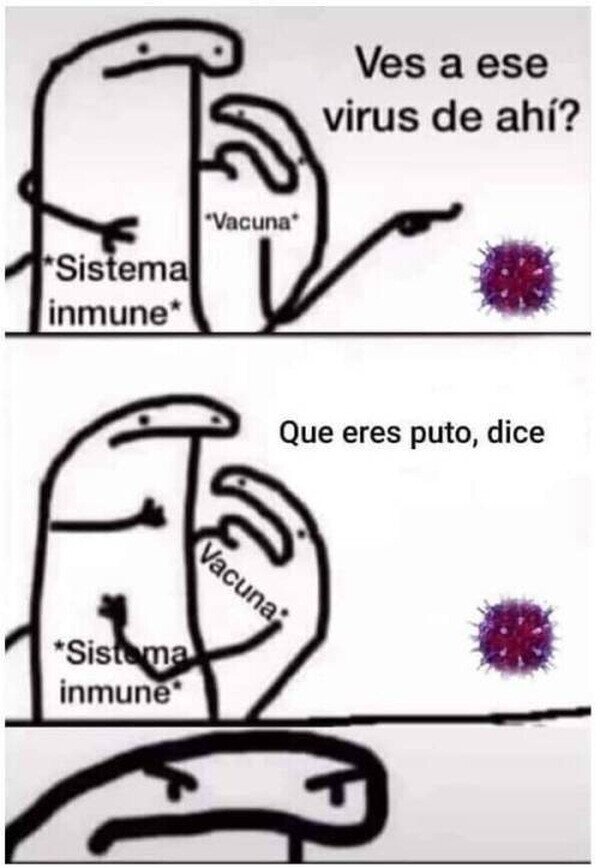 25217 - Así funciona la vacuna en nuestro organismo