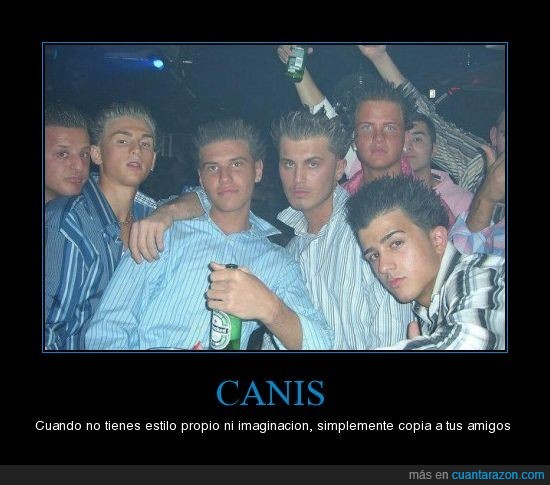 canis todos iguales