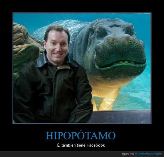 fail,foto,hipopotamo