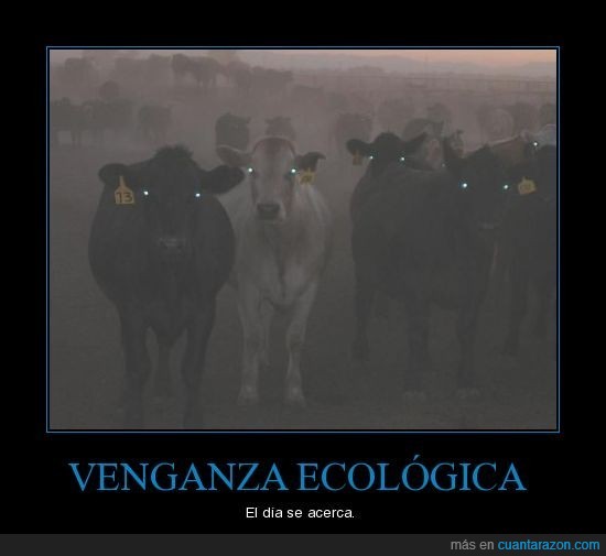venganza,vacas