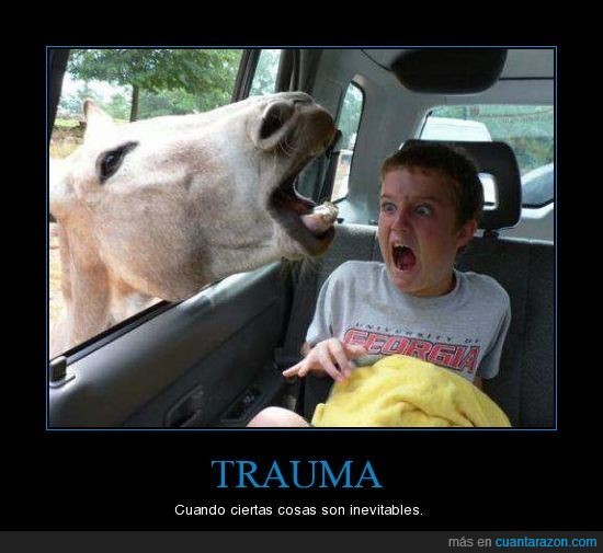 trauma,niño,grito,caballo,animal