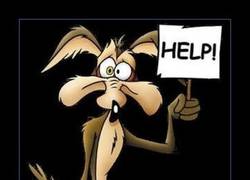 Enlace a COYOTE