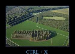 Enlace a CTRL + X