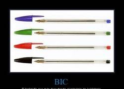 Enlace a BIC