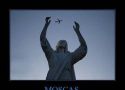 Enlace a MOSCAS