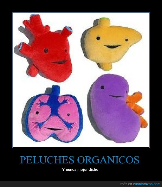 organos,Peluches
